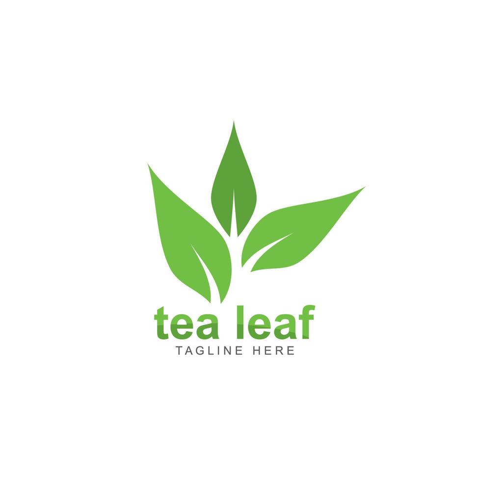 ilustración de icono de vector de logotipo de hoja de té