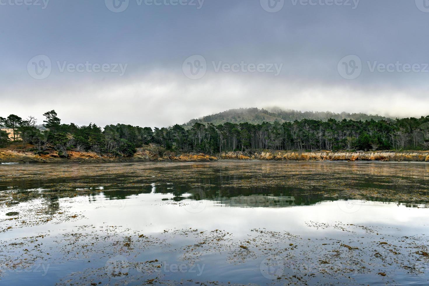 reserva natural del estado de point lobos justo al sur de carmel-by-the-sea, california, estados unidos, y en el extremo norte de la costa big sur del océano pacífico foto