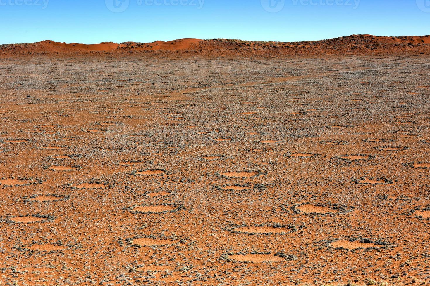 Fairy Circles - Namibia photo