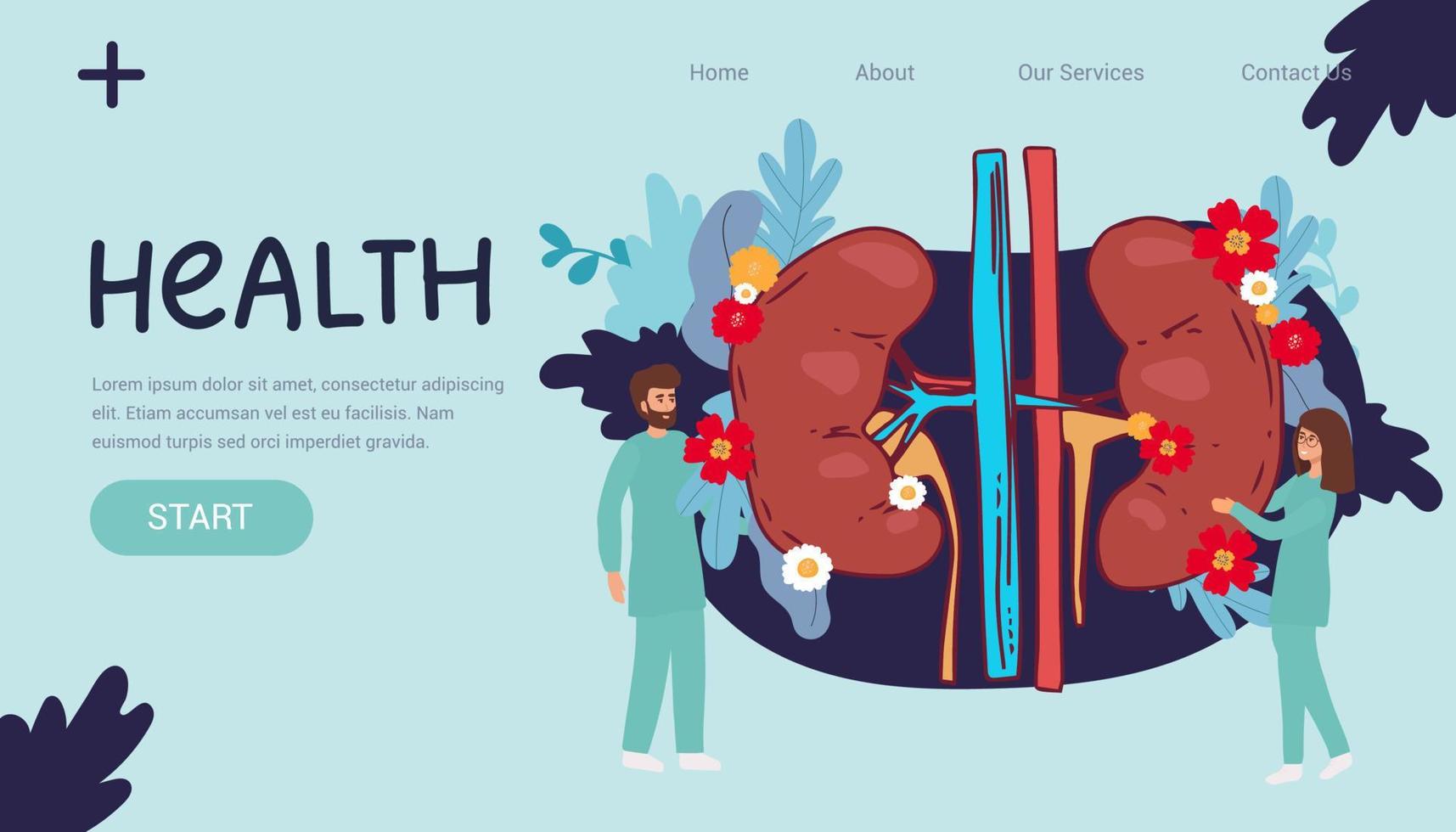 Doctors studying kidneys of donor at clinic. Medical persons checking human organ for surgery flat vector illustration. Nephrology, medicine concept for banner, website design or landing web page,