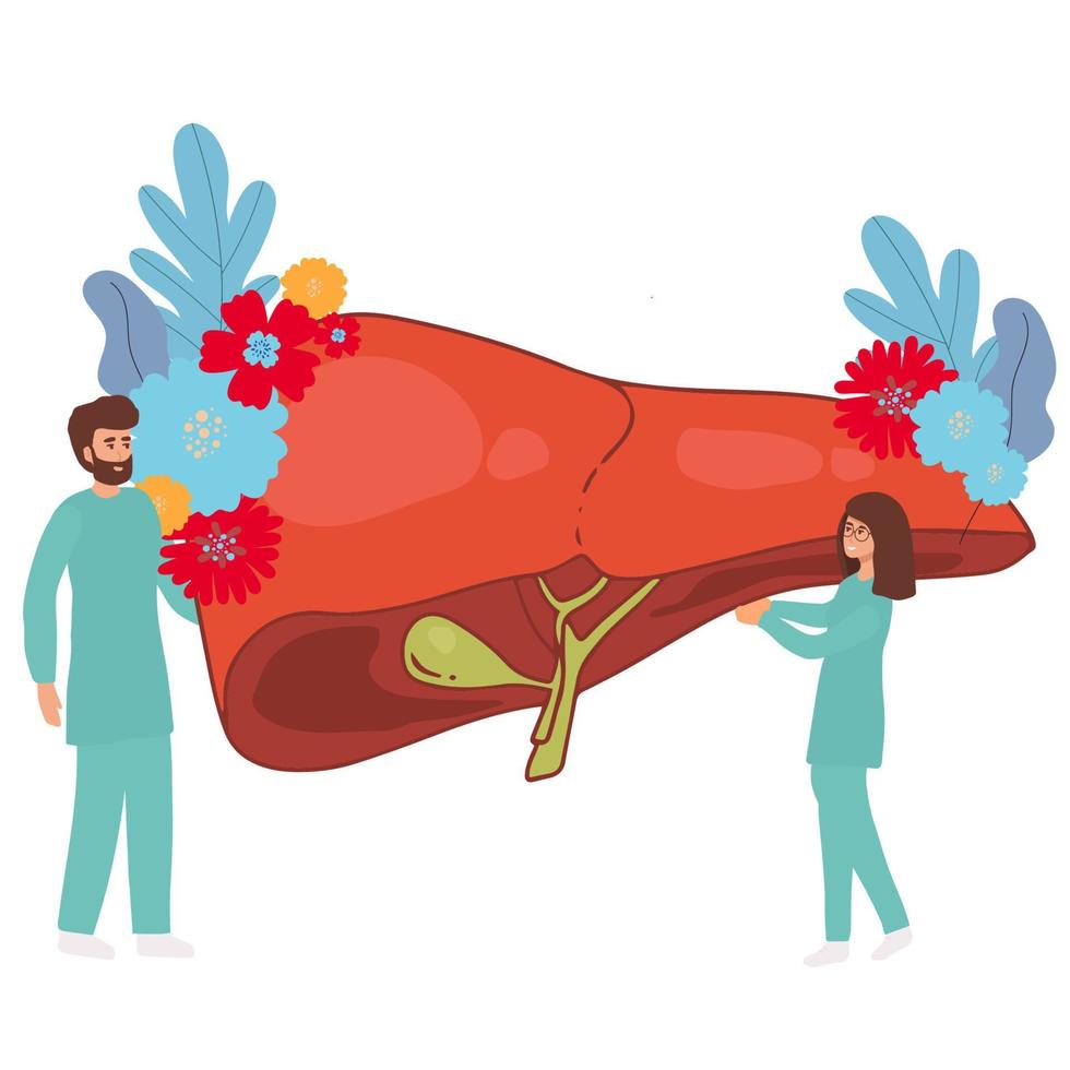 Vector of a group of doctors examining patient liver, performing lab tests, biopsy, molecular analysis