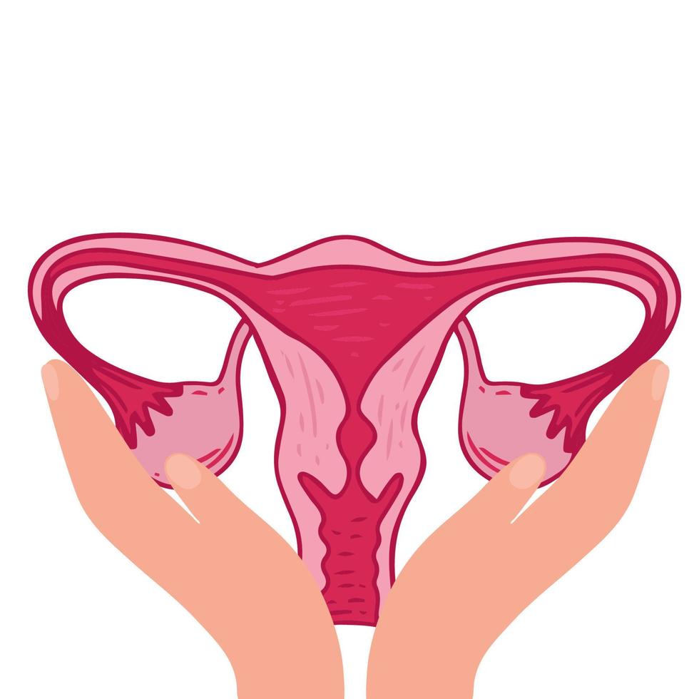 Women health - Floral of Polycystic ovary syndrome. Patient-friendly scheme of PCOS, Multifollicular cyst. Gynecological problems - Neutral medical diagram uterus and uterine appendages hand drawing, vector