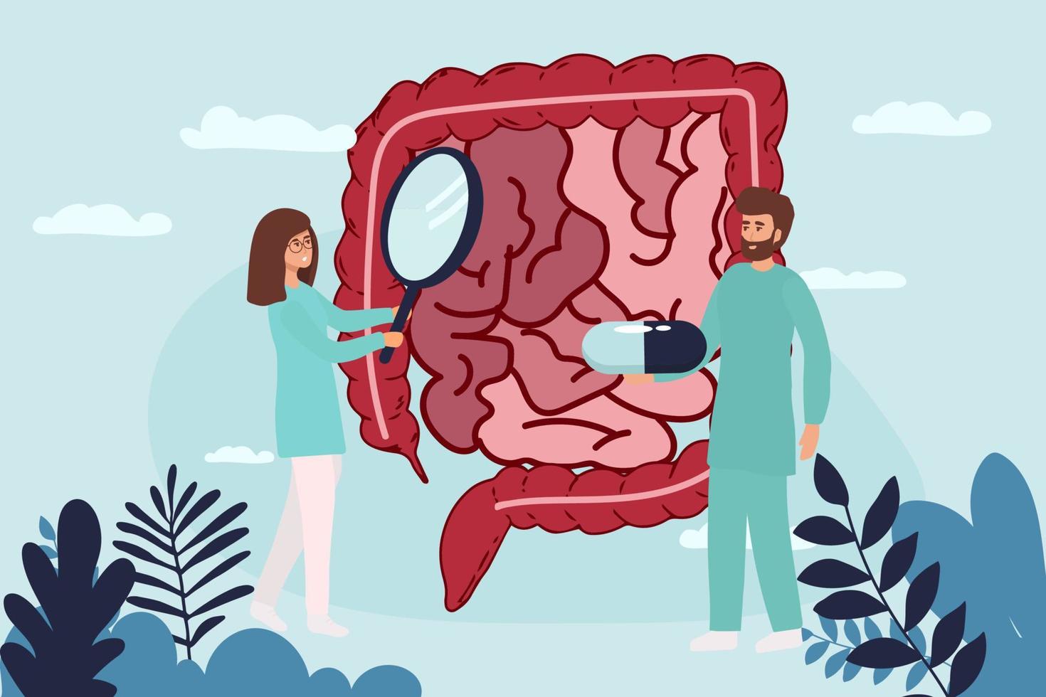 Gut organ medical checkup, health intestine and digestive. Doctor examining gastrointestinal tract. Medical gut disease treatment. Vector illustration