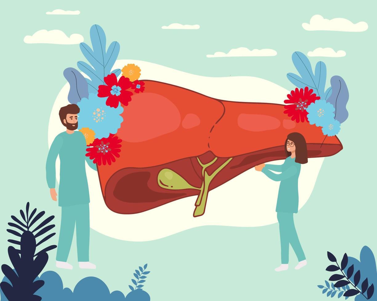 Vector of a group of doctors examining patient liver, performing lab tests, biopsy, molecular analysis