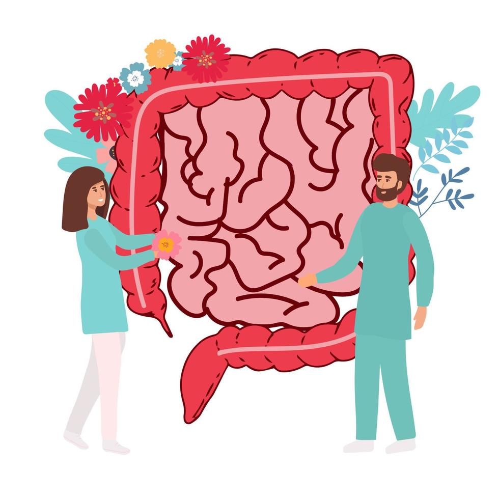 Gut organ medical checkup, health intestine and digestive. Doctor examining gastrointestinal tract. Medical gut disease treatment. Vector illustration,