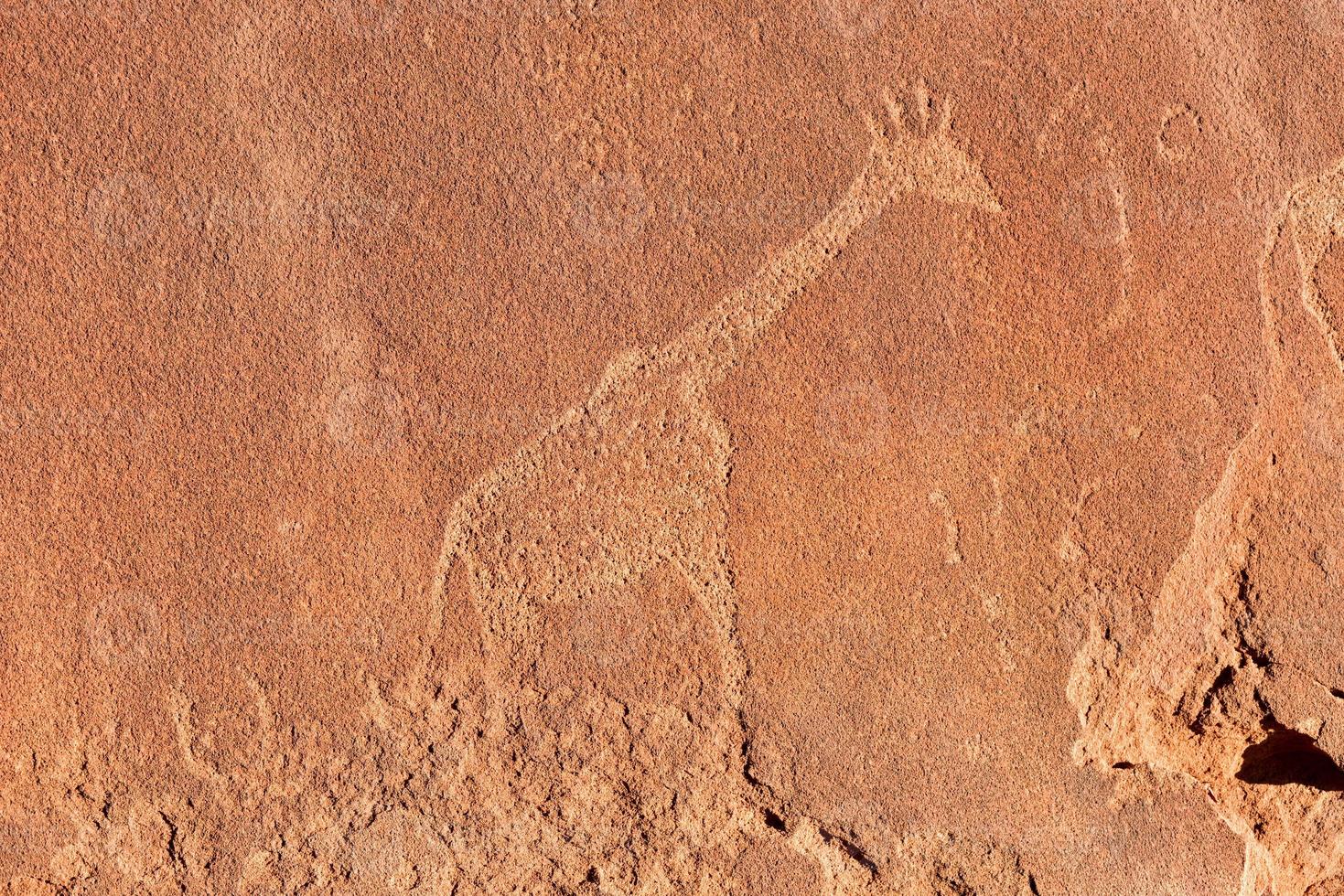 Bushman Rock Engravings - Namibia photo