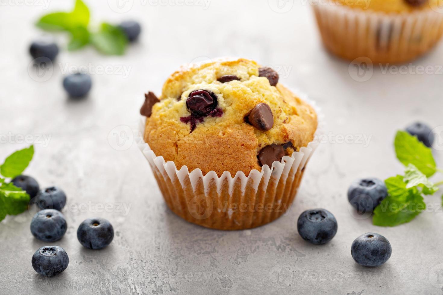 Chocolate chip and blueberry muffin freshly baked photo