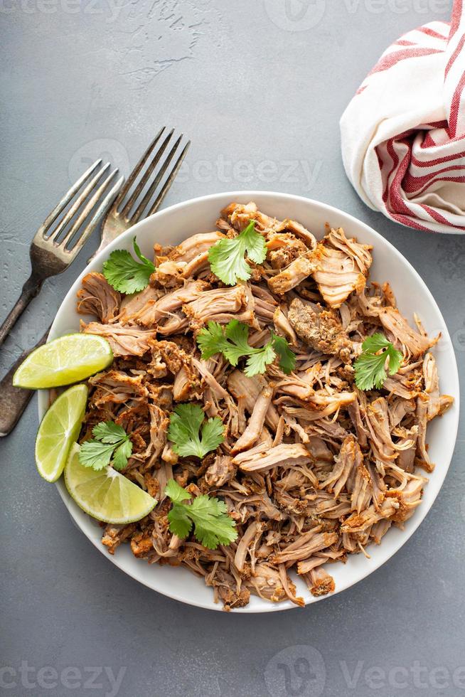 Pork carnitas with celery and lime photo