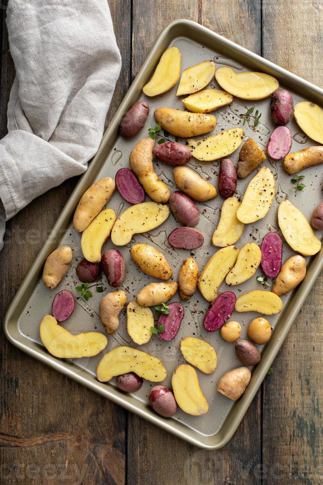 Yellow and purple fingerling potatoes on a baking sheet photo