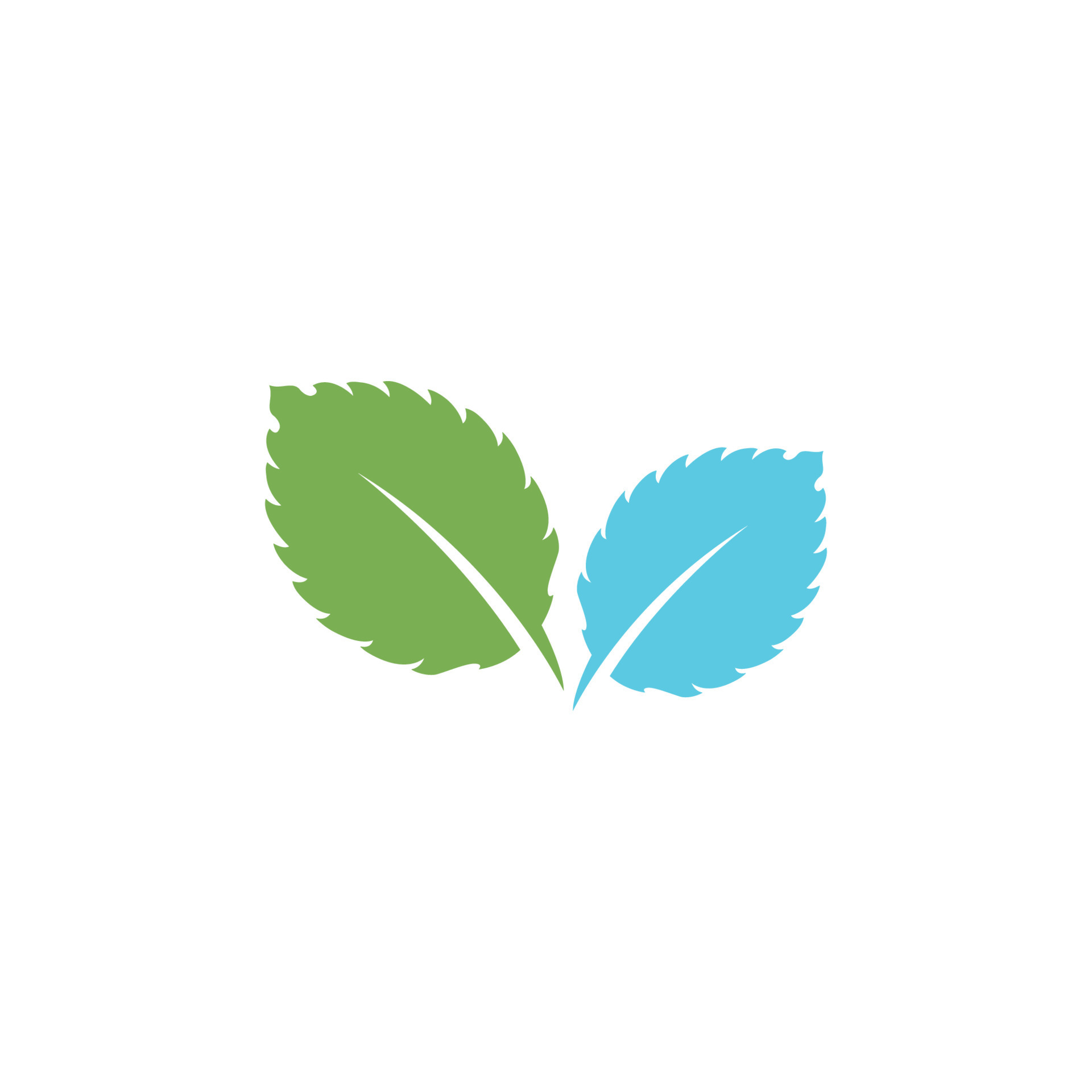 Mint leaf vector icon illustration 16119271 Vector Art at Vecteezy