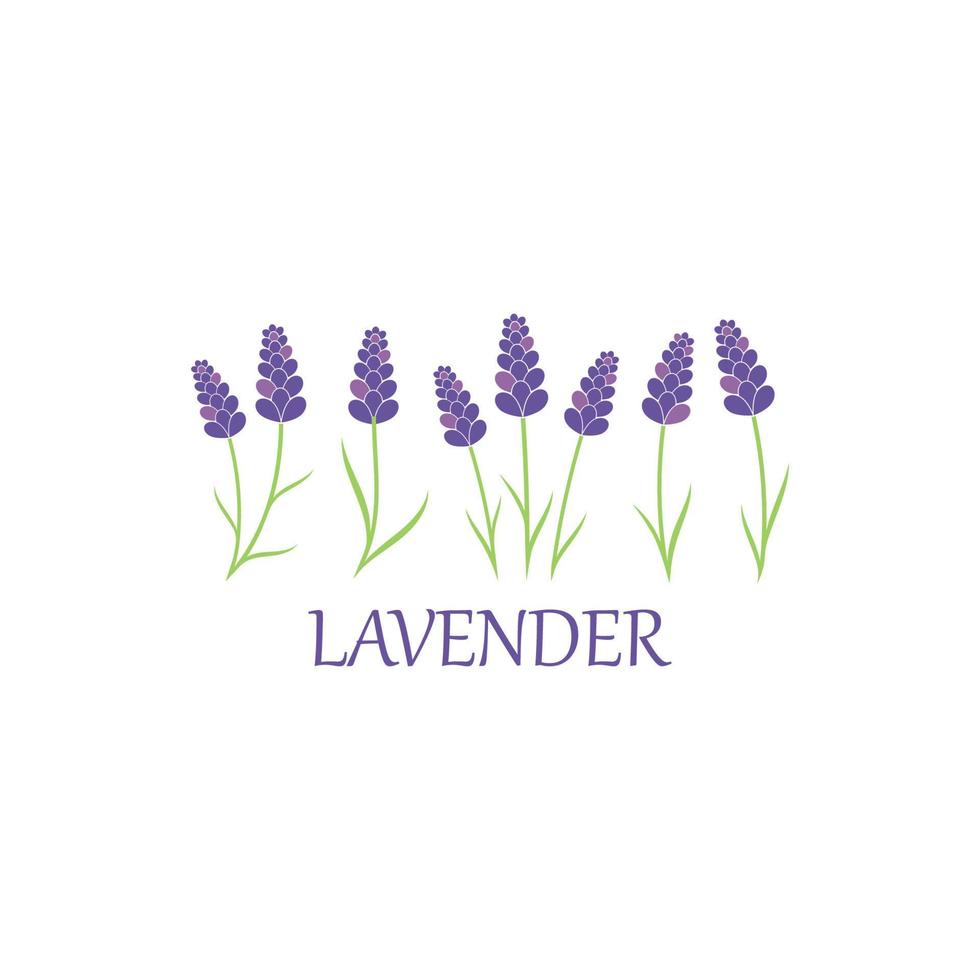 lavender floral aromatic logo vector icon illustration