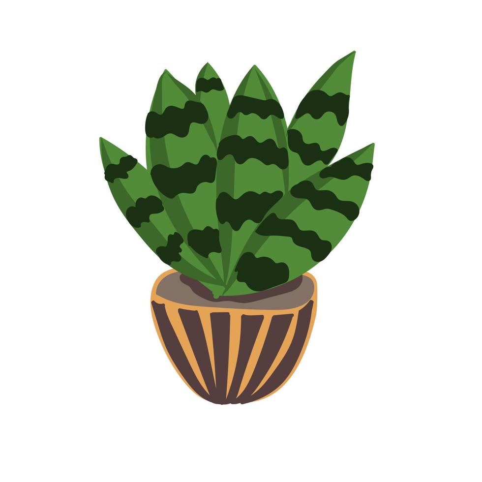 Hand-drawn succulent in pot in doodle style vector
