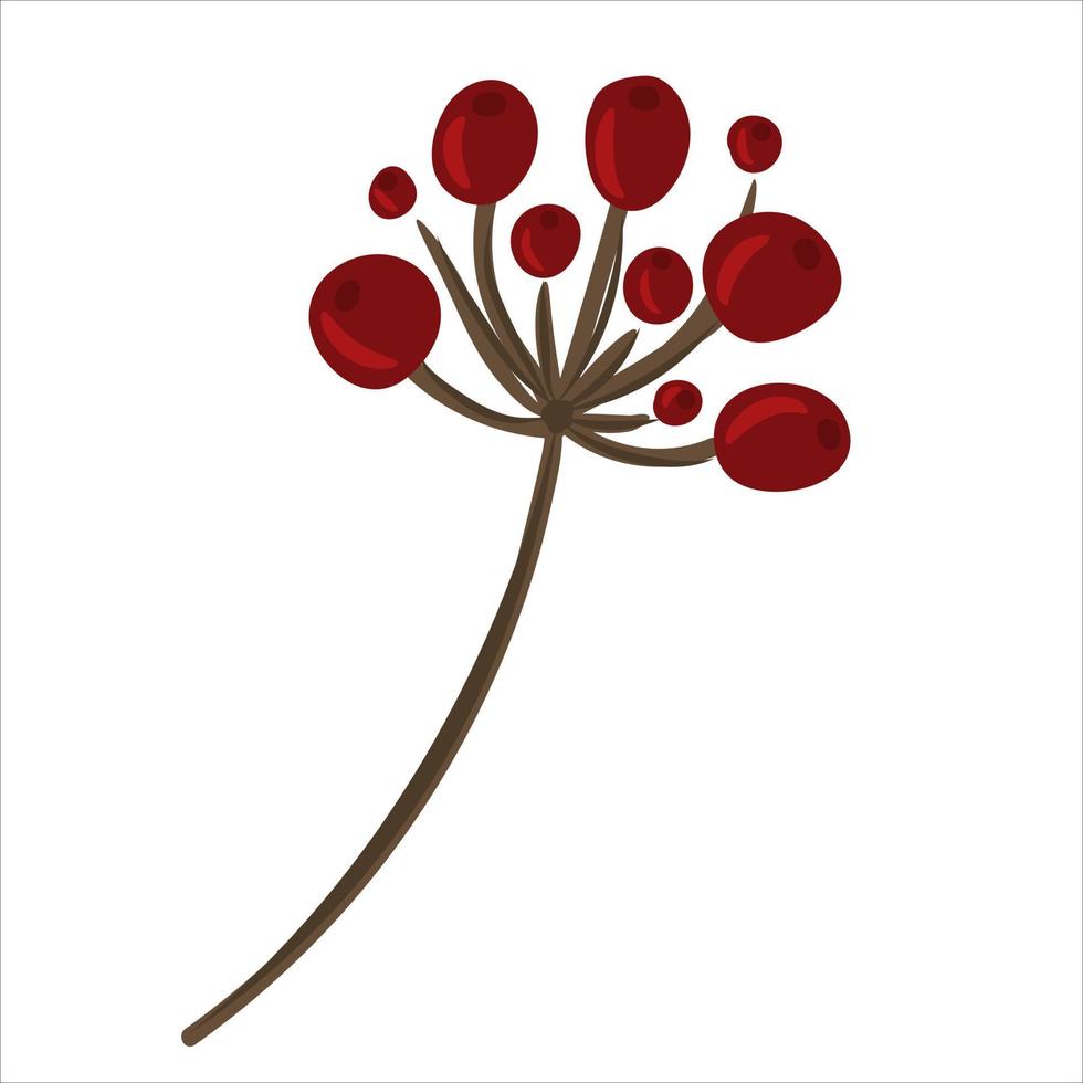 Winter branch with berries vector