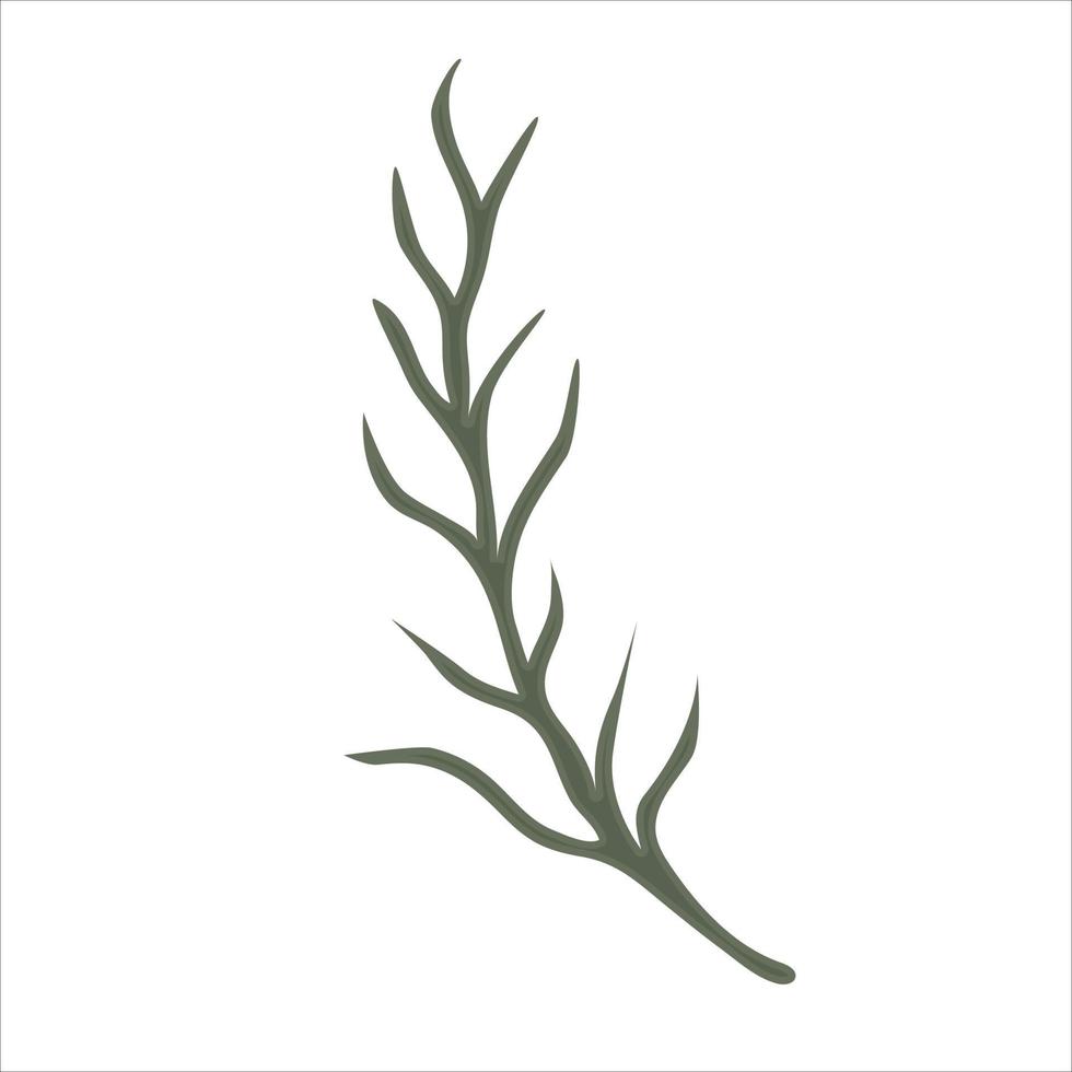 Hand drawn branch with leaves isolated on white background vector