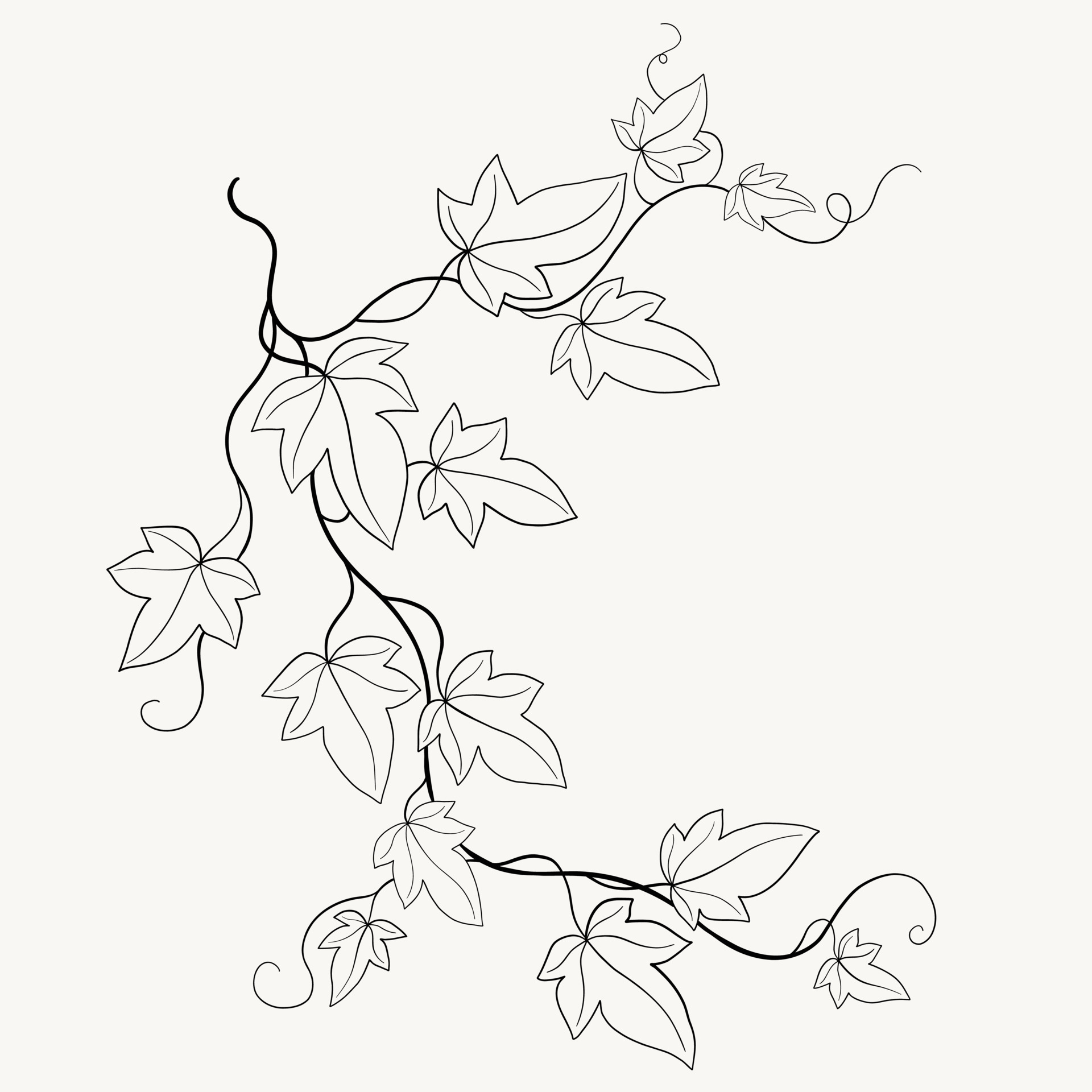Floral ivy drawing decorative ornament flat design. 16119889 Vector Art