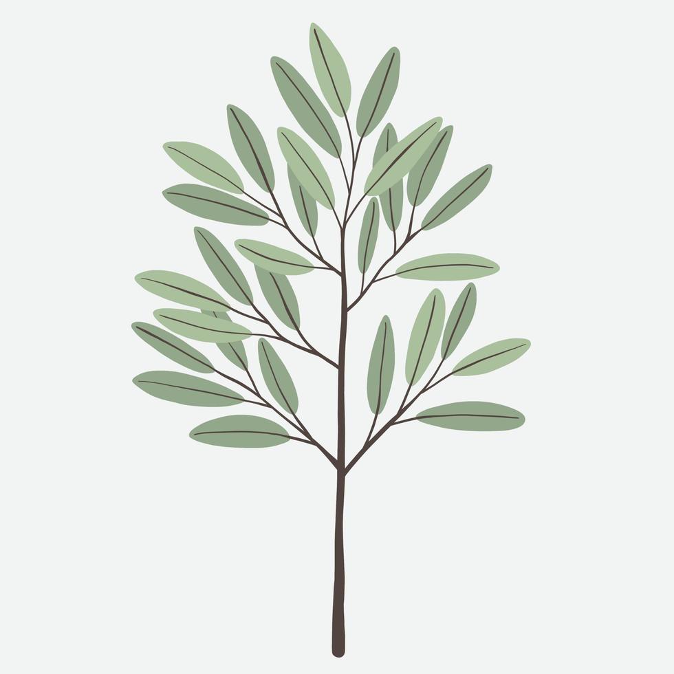 Freehand drawing of Eucalyptus branch. vector