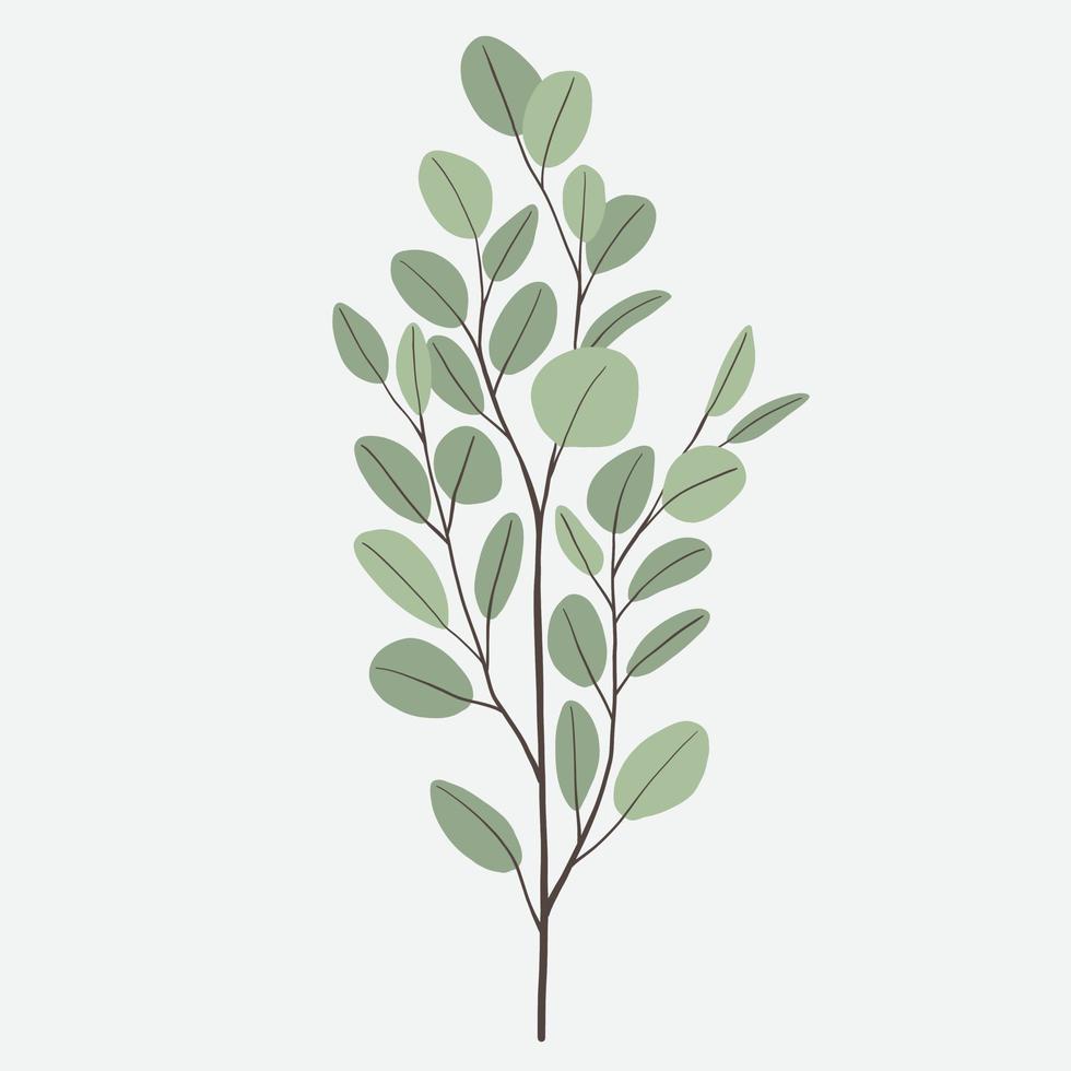 Freehand drawing of Eucalyptus branch. vector
