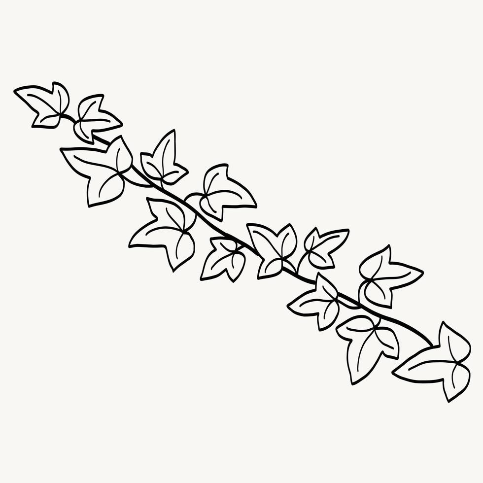 Floral ivy drawing decorative ornament flat design. vector
