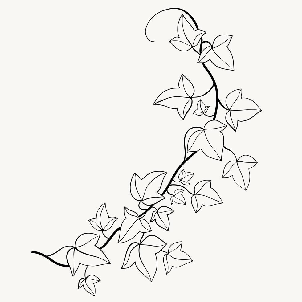 Floral ivy drawing decorative ornament flat design. vector