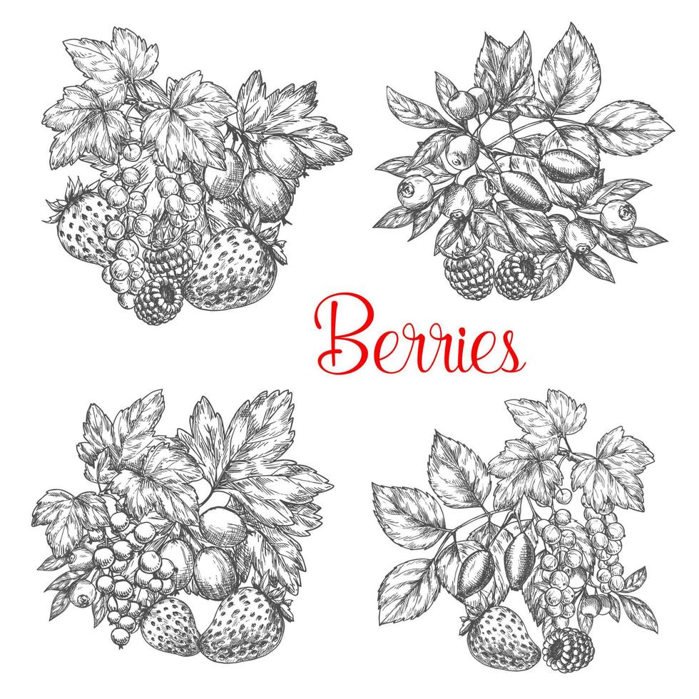 Vector sketch icons of fresh berries and fruits
