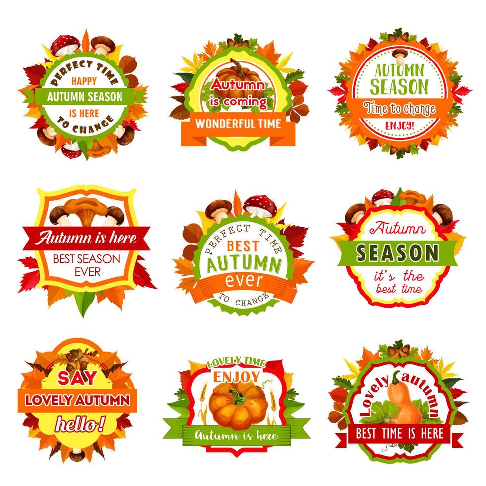Autumn nature badge set with leaf and pumpkin vector