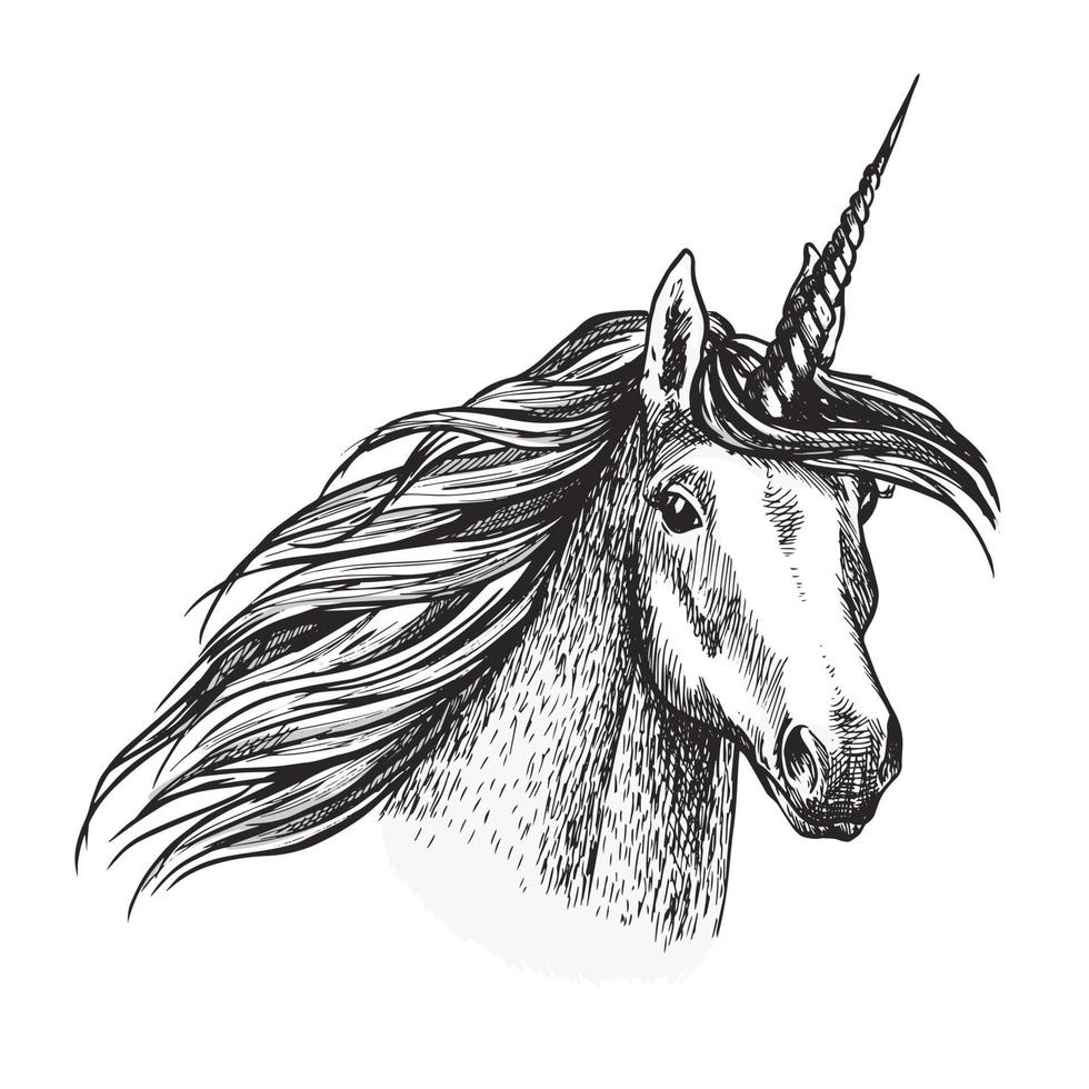 Unicorn horse animal sketch of magic creation vector