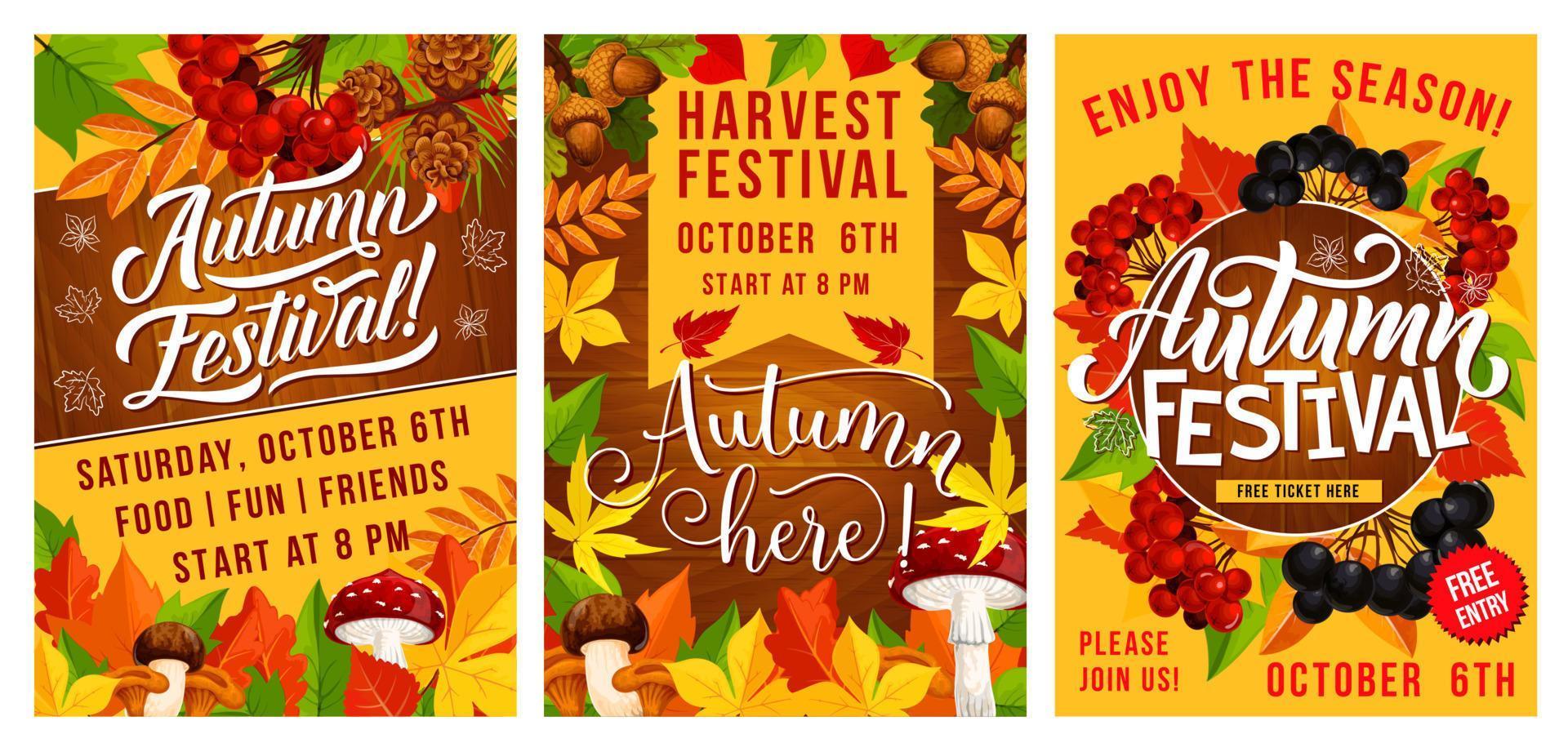 Autumn festival of harvest poster with fall leaves vector