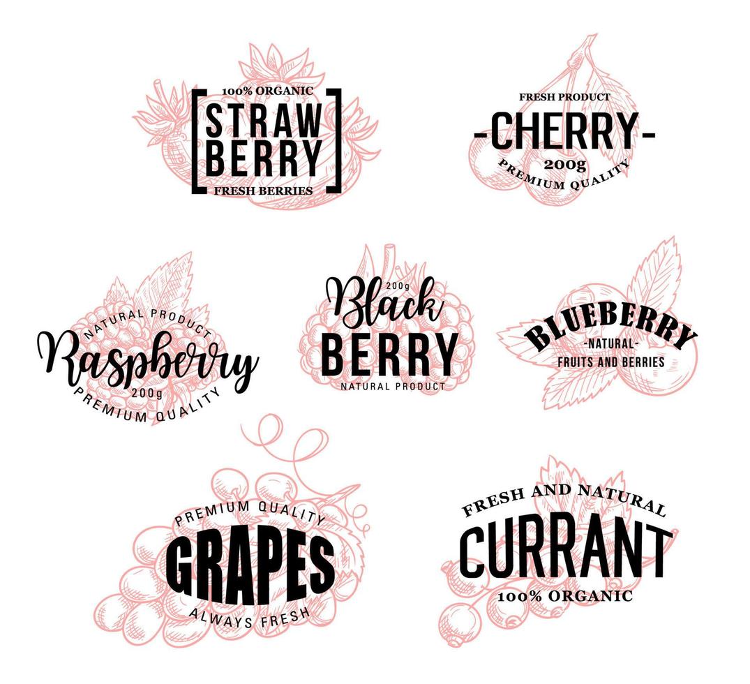 Natural berries vector sketch lettering