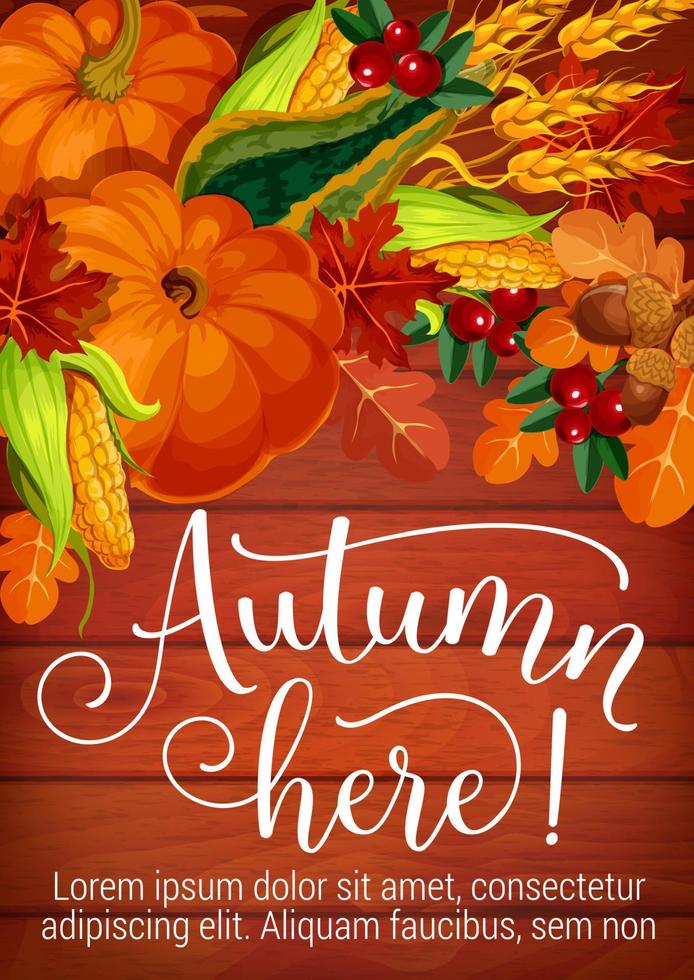 otoño aquí follaje estacional y cartel de cosecha vector