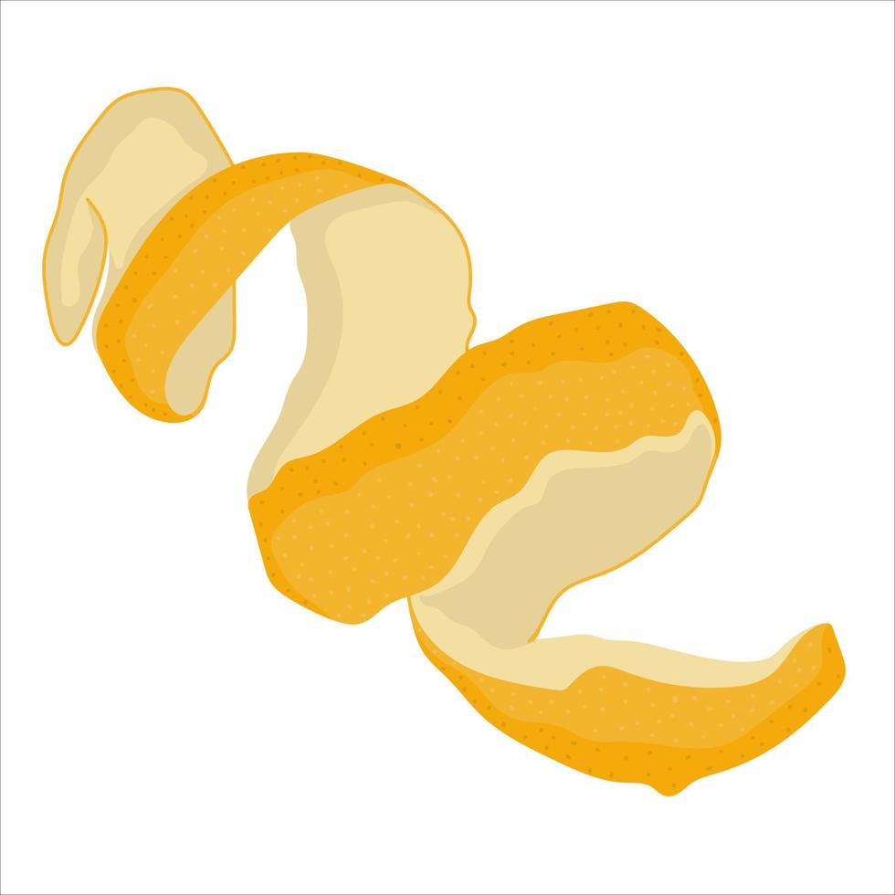 Hand-drawn  lemon peel isolated on white background vector