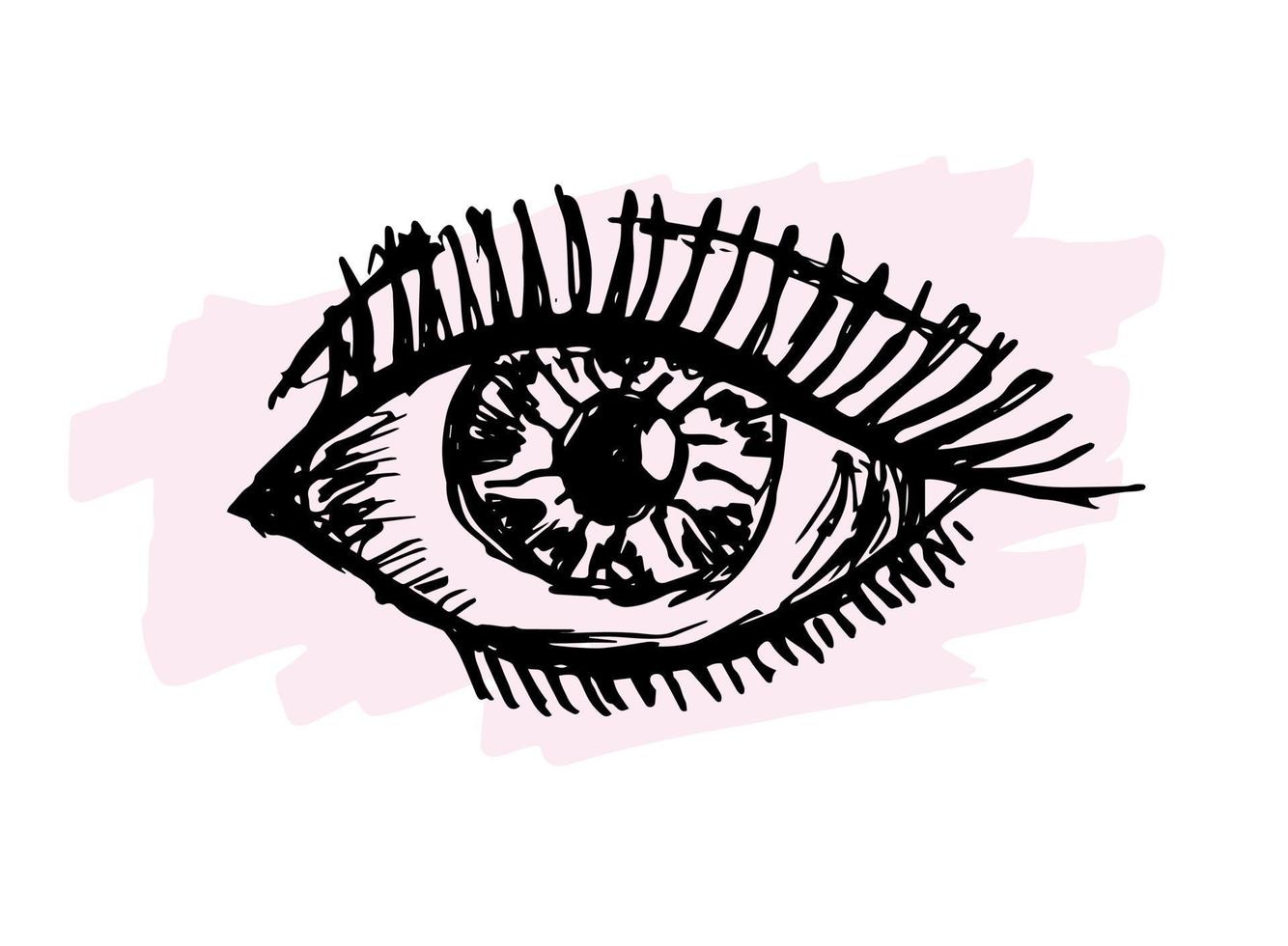 Ink brush drawing eye. vector