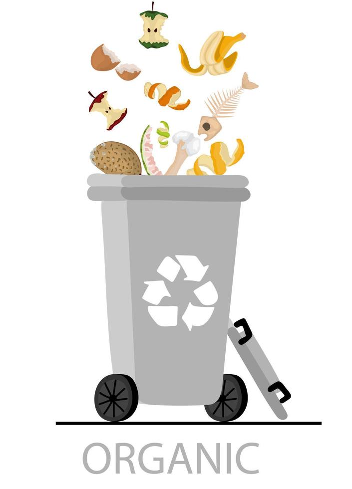 Organic Waste And Garbage. Waste sorting concept vector
