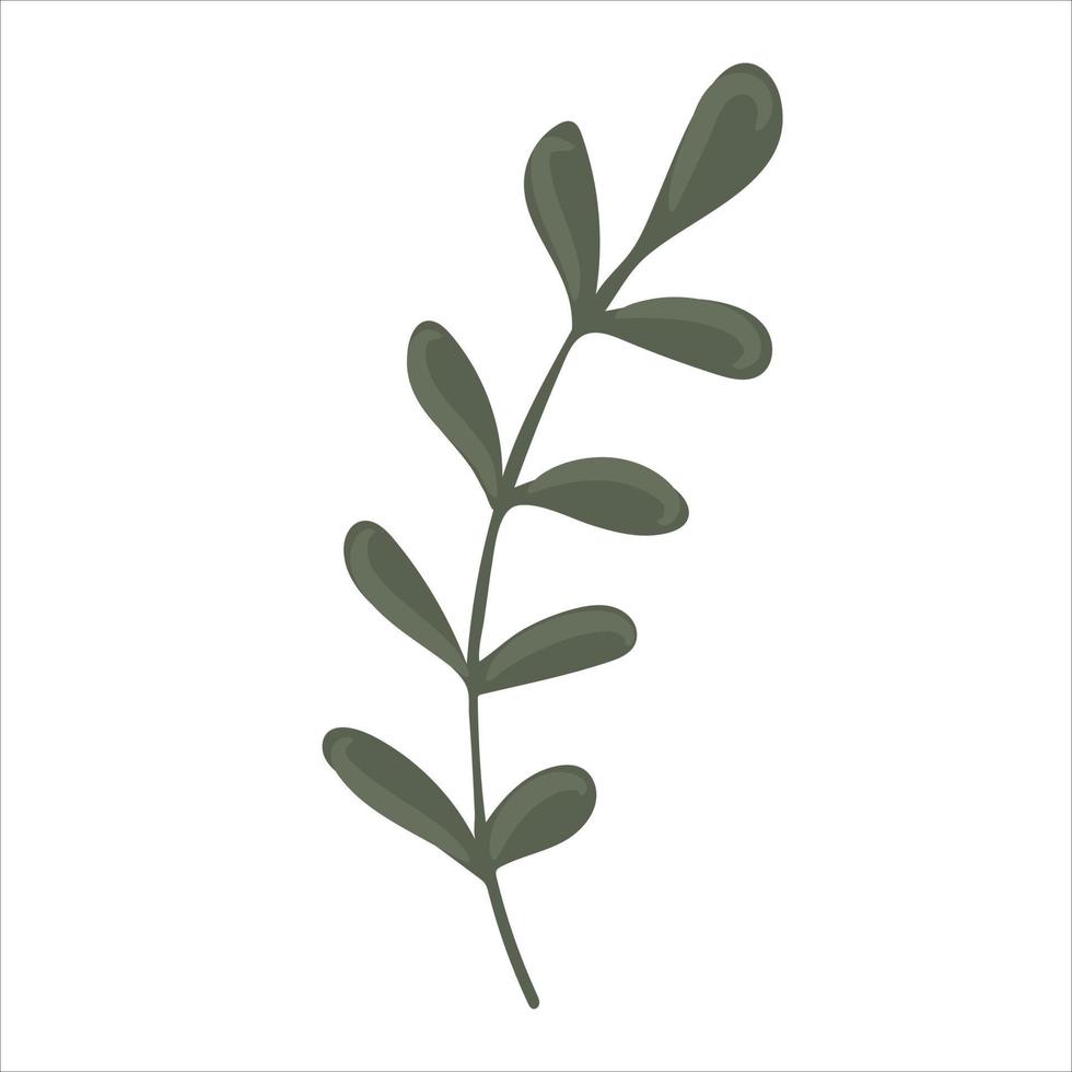 rama dibujada a mano con hojas aisladas sobre fondo blanco vector