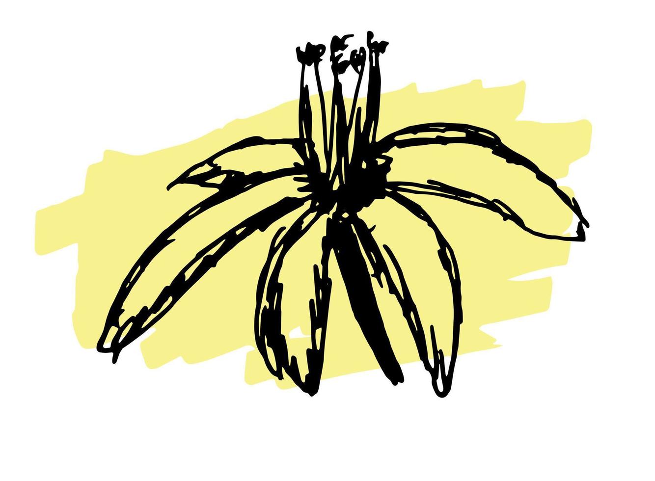 Hand drawn doodle flower of lemon vector