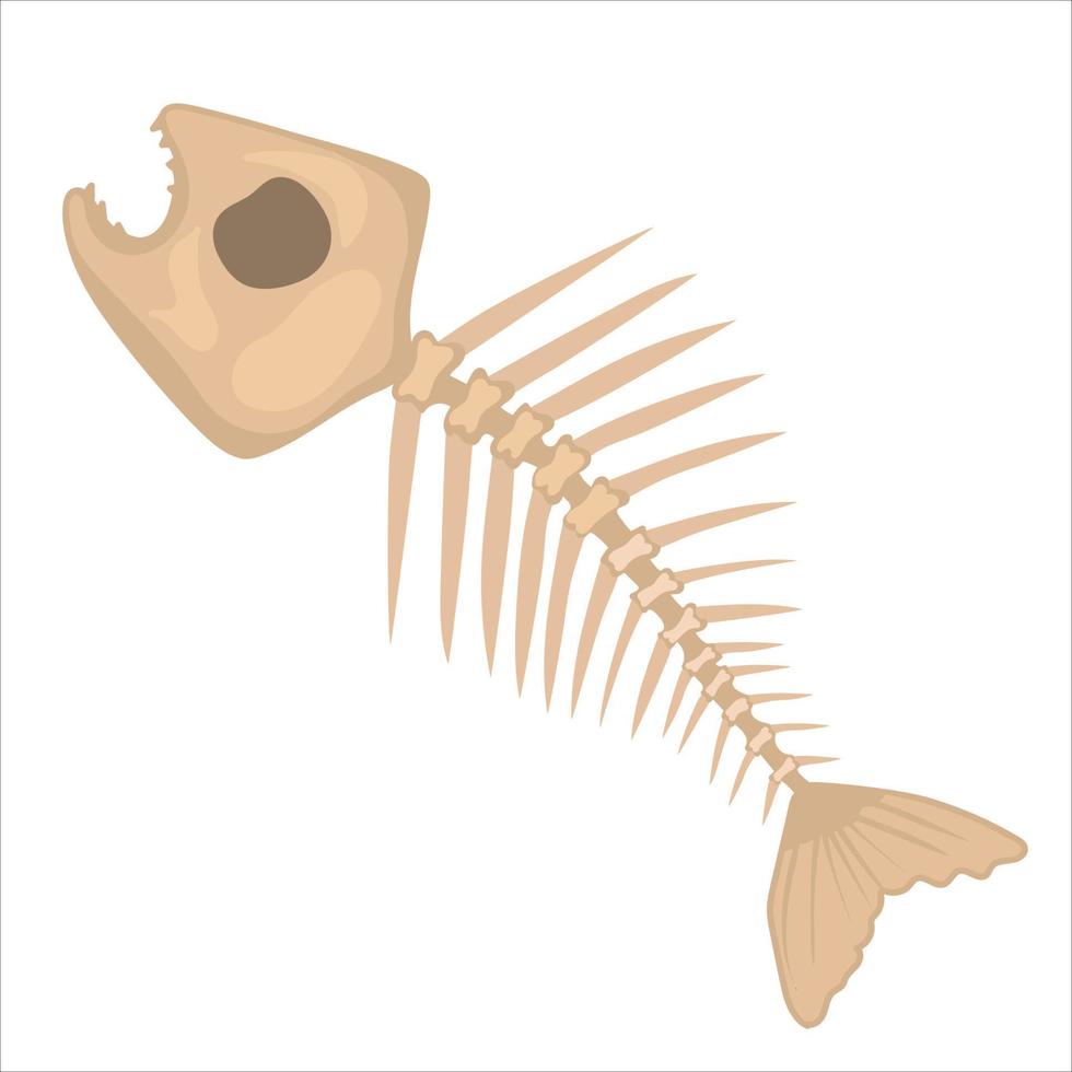 Hand-drawn Fish Skeleton isolated on white background vector