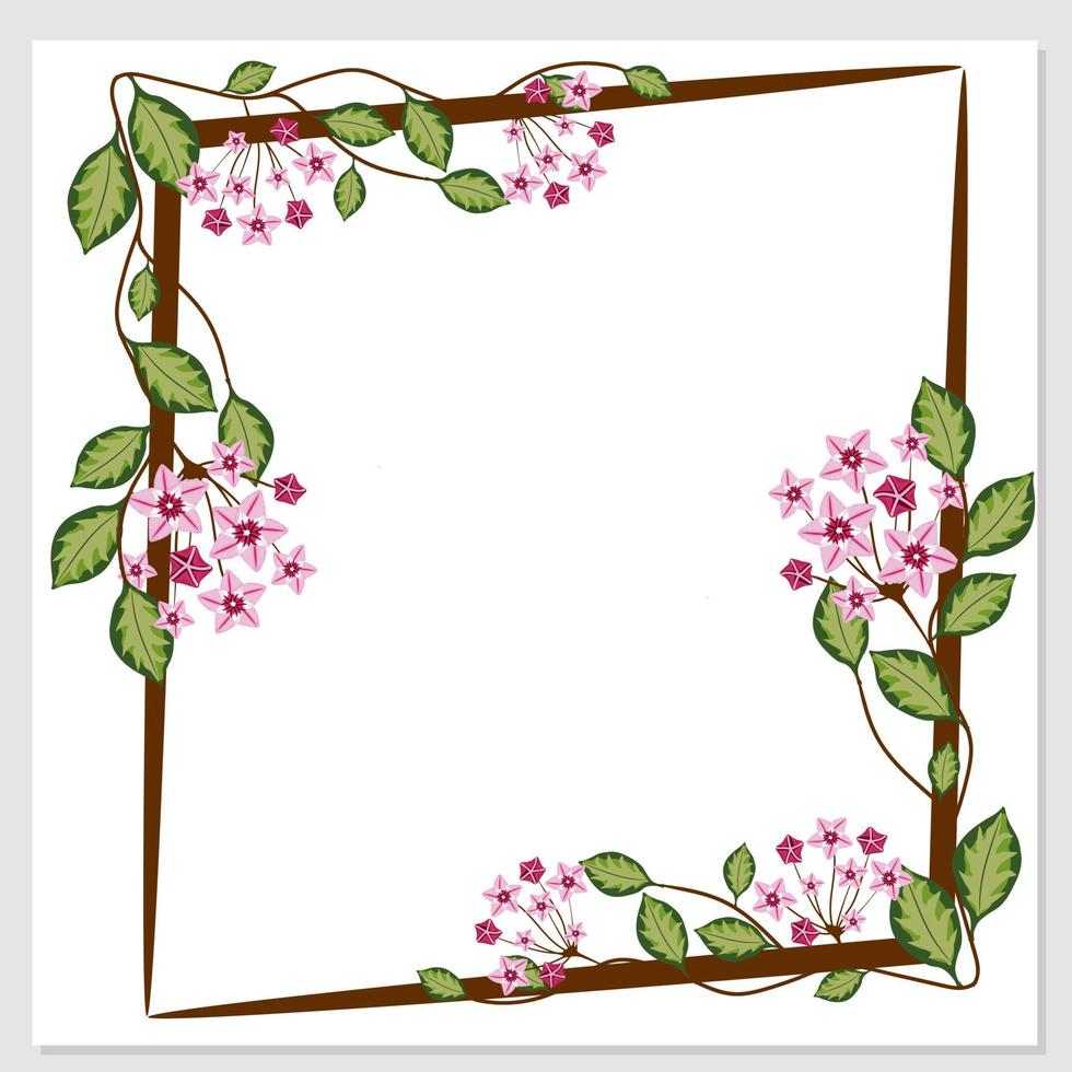 Floral card with hoya carnosa. Place for your text. Square template for greeting card vector