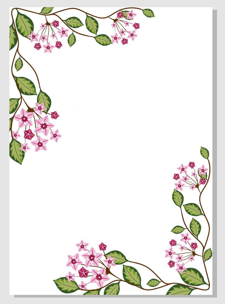 Floral card with hoya carnosa. vector