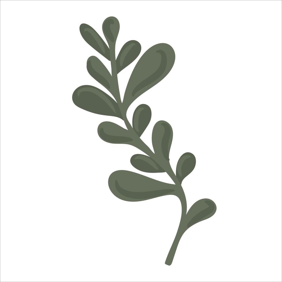 Hand drawn branch with leaves isolated on white background vector