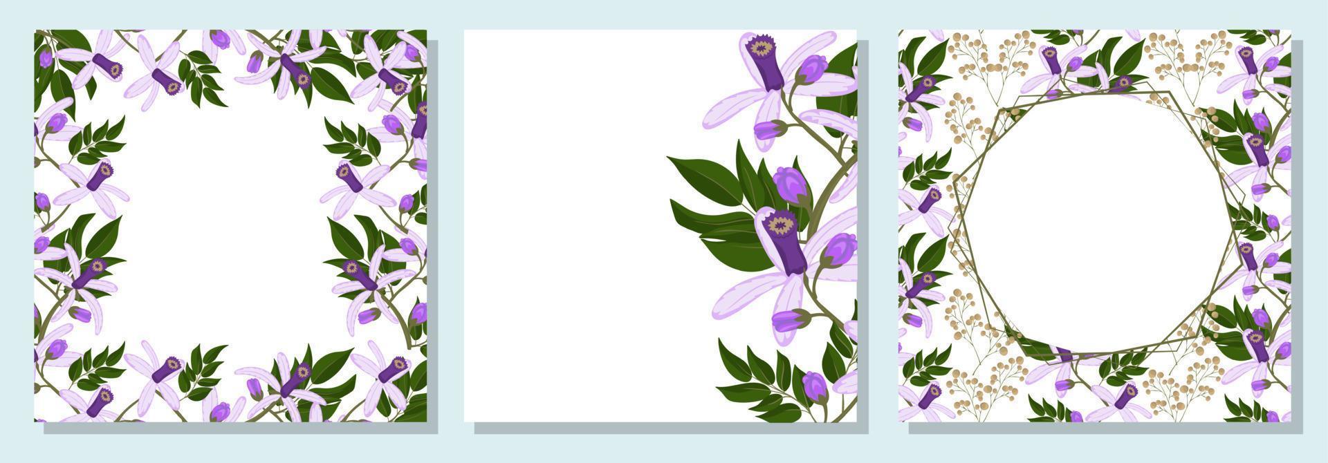 Set of square botanical template for greeting cards or invitations. Chinaberry flowers vector