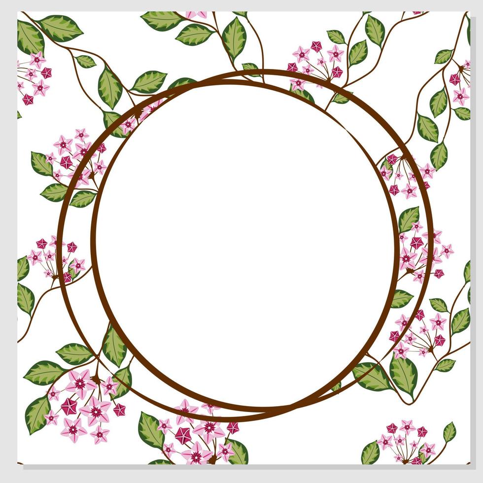 Floral card with hoya carnosa. Place for your text. Square template for greeting card vector