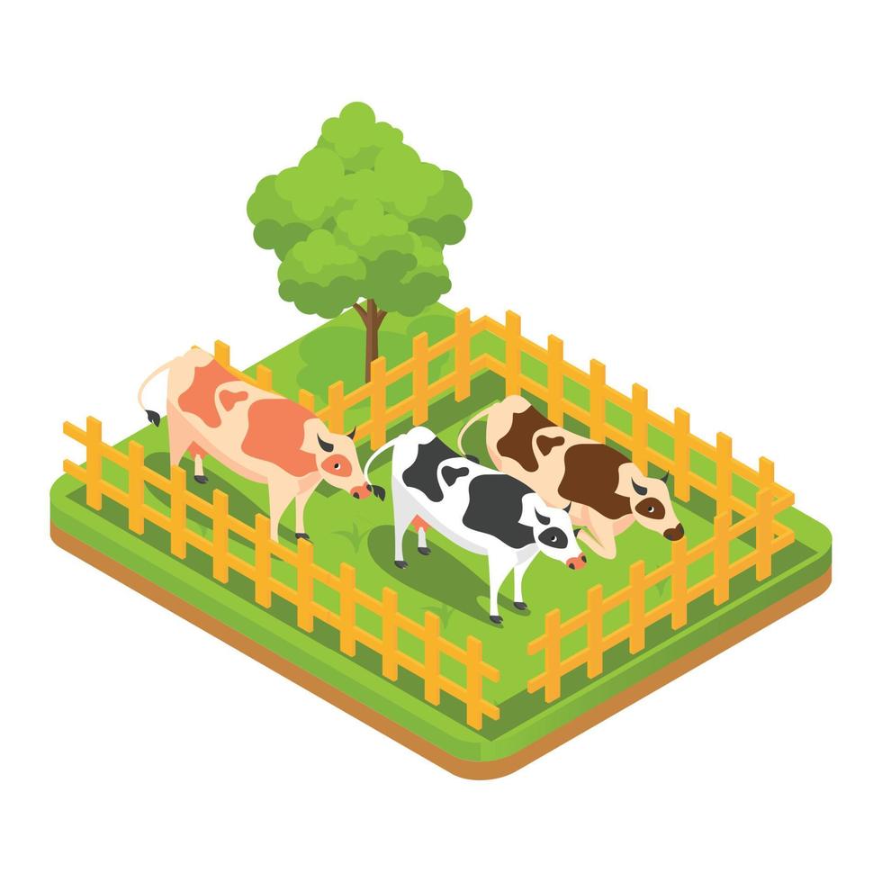 Animales de ganado isométricos 3d en un corral con hierba verde. ilustración isométrica vectorial adecuada para diagramas, infografías y otros activos gráficos vector