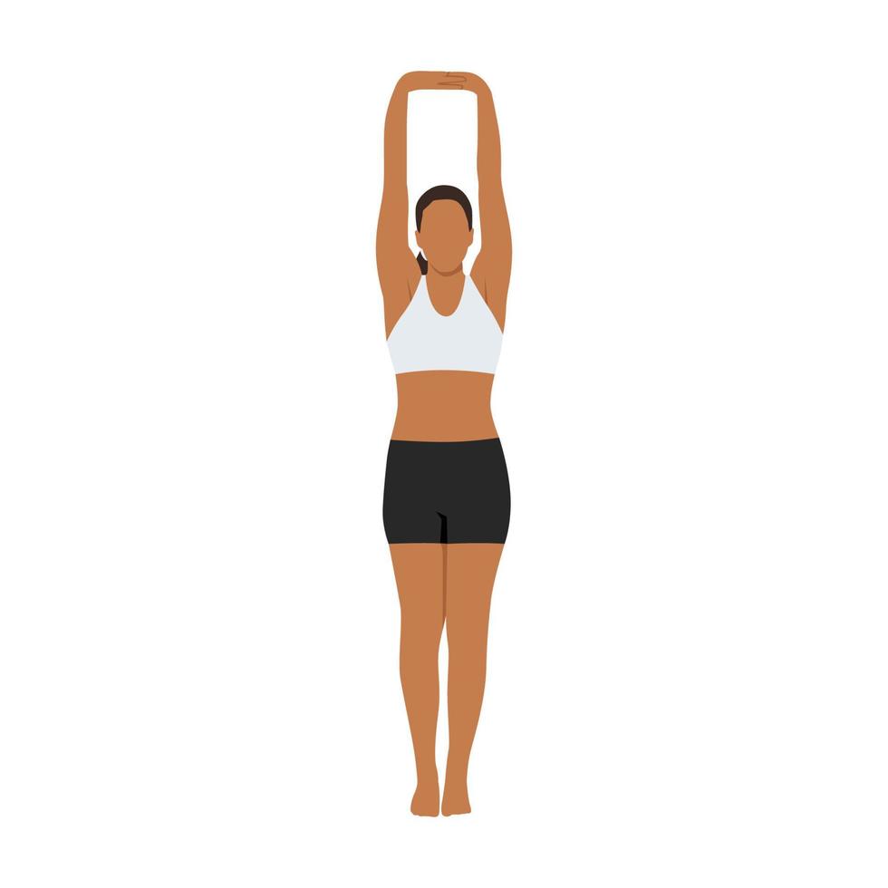 mujer haciendo pose de palmera, pose de estiramiento de manos hacia arriba, saludo hacia arriba, pose de manos levantadas, tadasana urdhva baddhanguliyasana, urdhva hastasana. ilustración vectorial plana aislada sobre fondo blanco vector