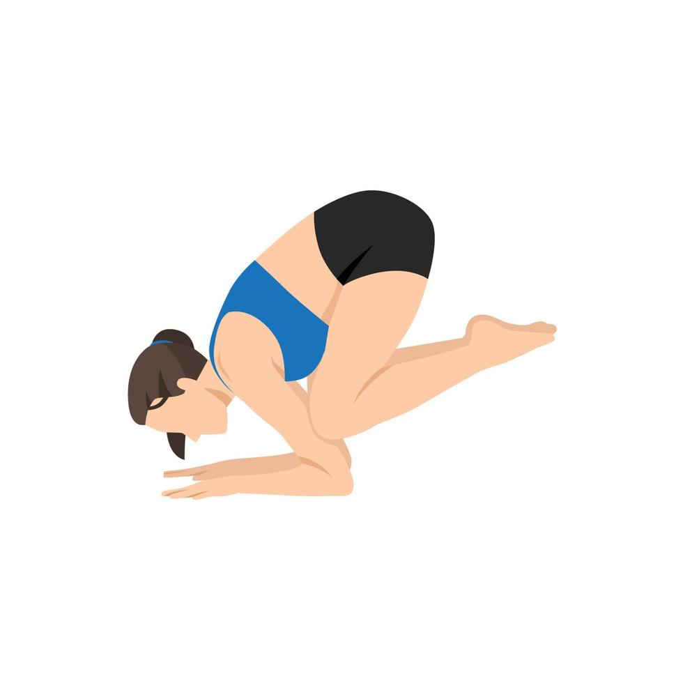 Woman doing Baby Crow Pose. Beautiful girl practice Bala Kakasana. Flat vector illustration isolated on white background