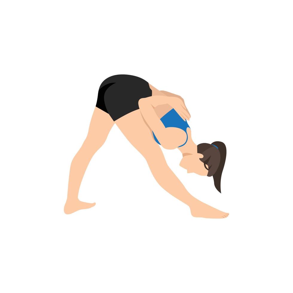 Woman doing intense Leg Stretch Pose D, Wide Legged Forward Fold Pose D,  Standing Straddle Forward Bend D, Wide Angle Forward Fold D.Prasarita  Padottanasana. Flat vector illustration 16138119 Vector Art at Vecteezy