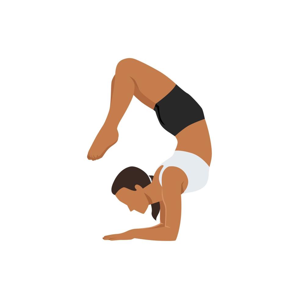 Woman doing Scorpion Pose. Beautiful girl practice Vrschikasana. Flat vector illustration isolated on white background