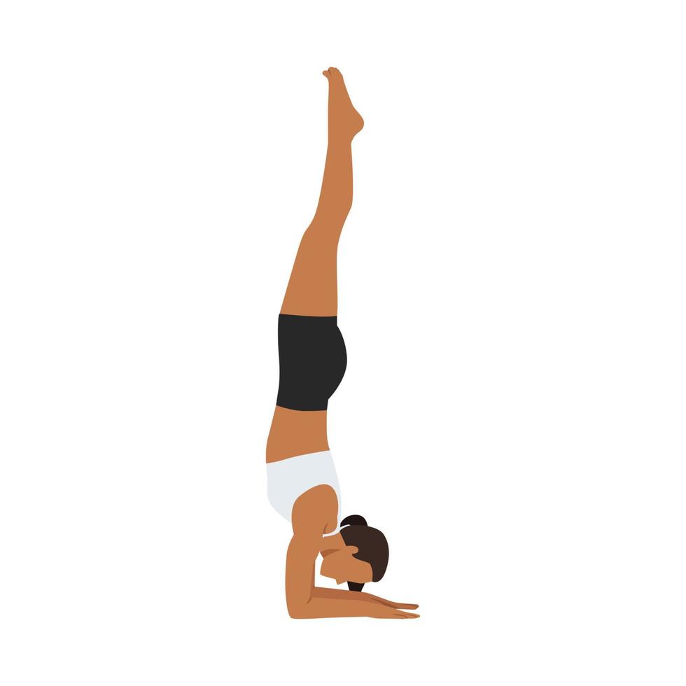 Woman doing Feathered Peacock Pose, Forearm Stand. Practice Pincha Mayurasana. Flat vector illustration isolated on white background