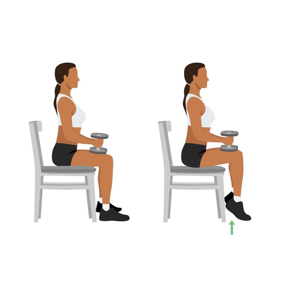 Woman doing seated dumbbell or chair calf raises. Keep both legs at a 90-degree angle. Extend the heels of pushing the toes on the ground and lifting the heels of pushing. Flat vector illustration