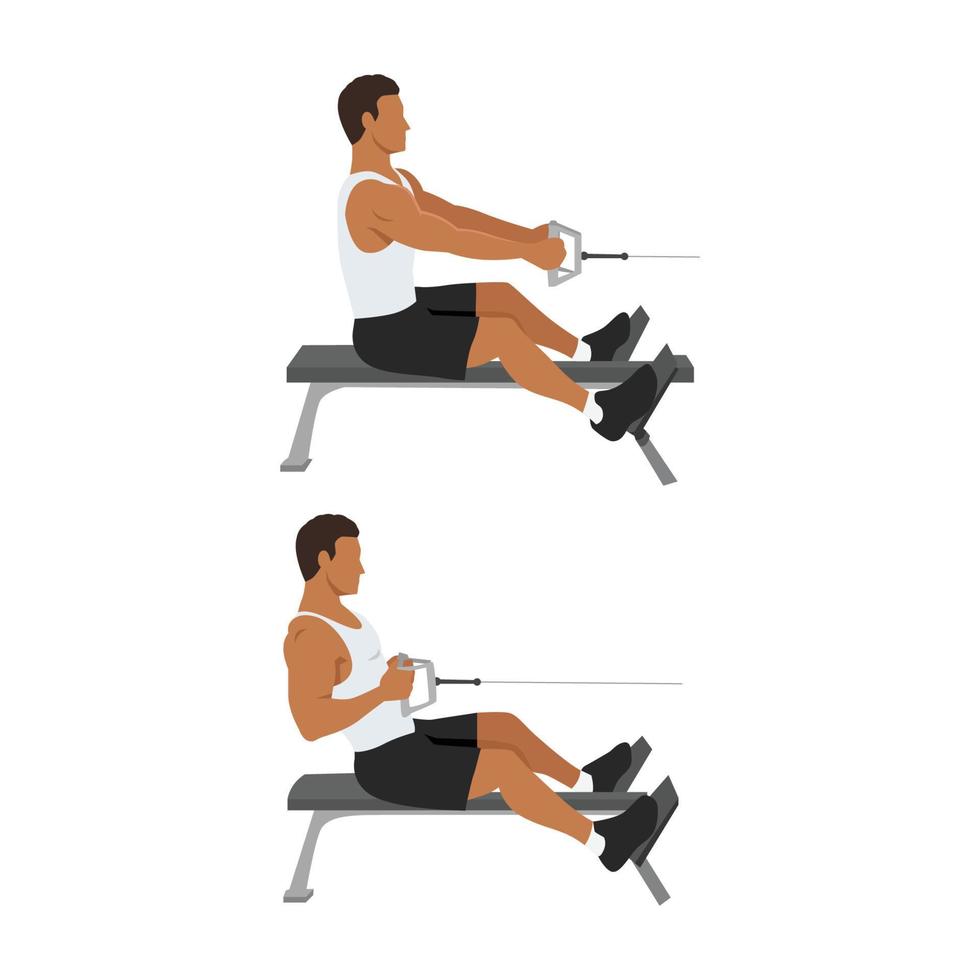 Man doing Seated Low cable back rows exercise. Flat vector illustration isolated on white background