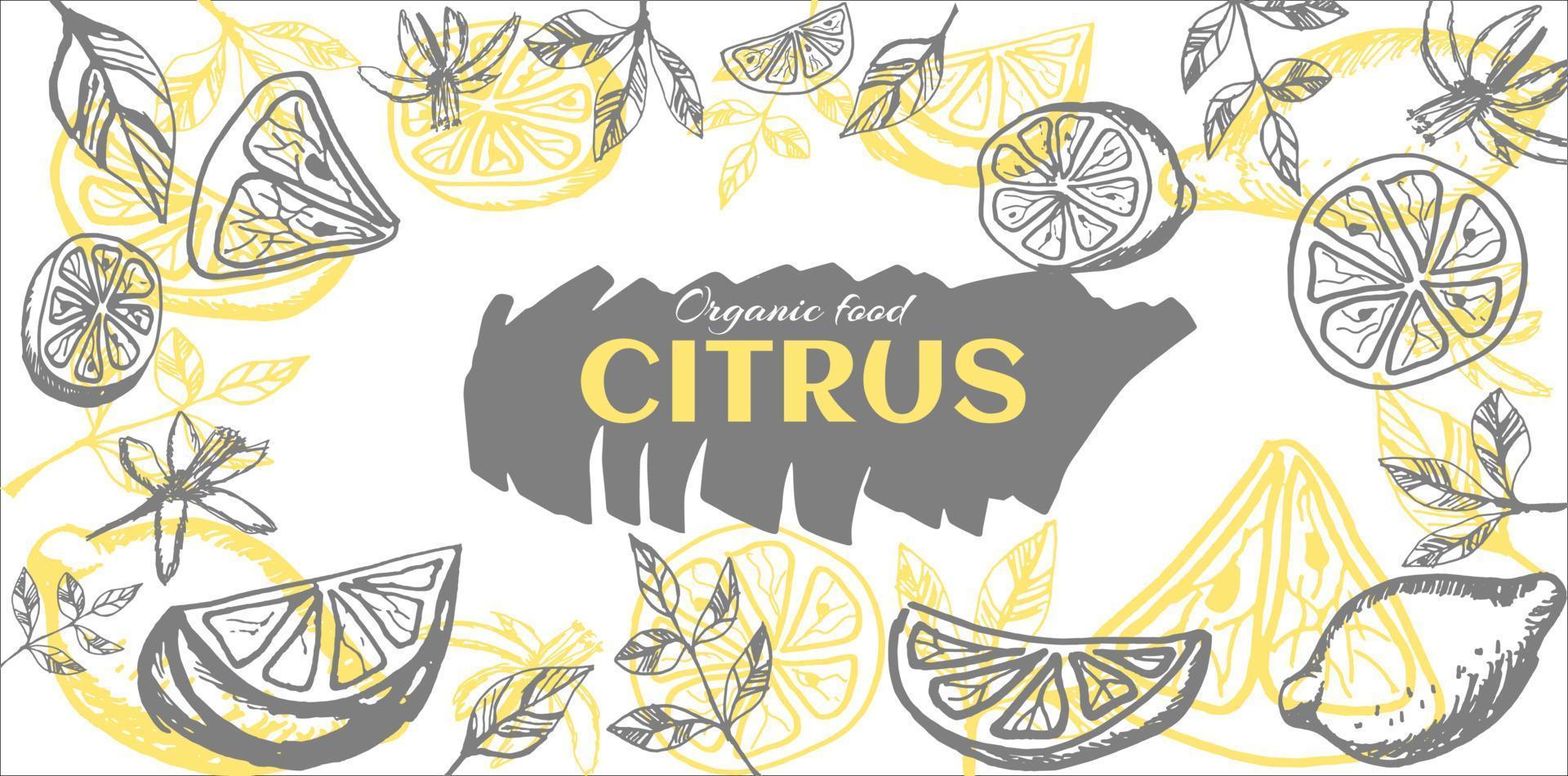 Lemon frame hand drawn. vector