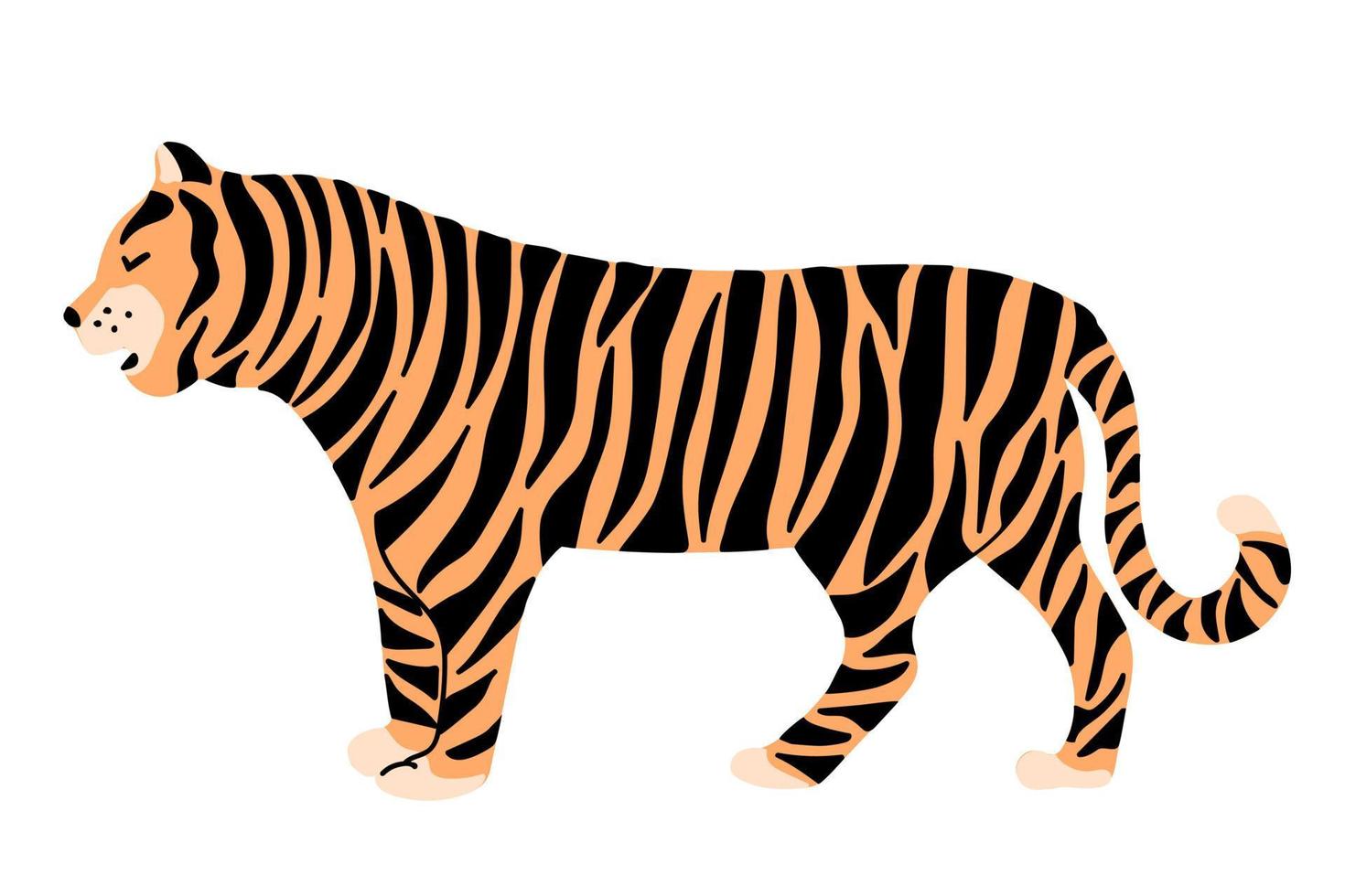 lindo tigre dibujado a mano aislado sobre fondo blanco vector
